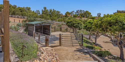 3637 Dove Holw Rd, Encinitas CA 92024-7248 exterior