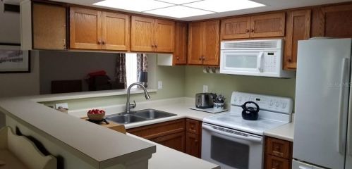 1402 Lennox Rd, Palm Harbor, FL 34683-1526