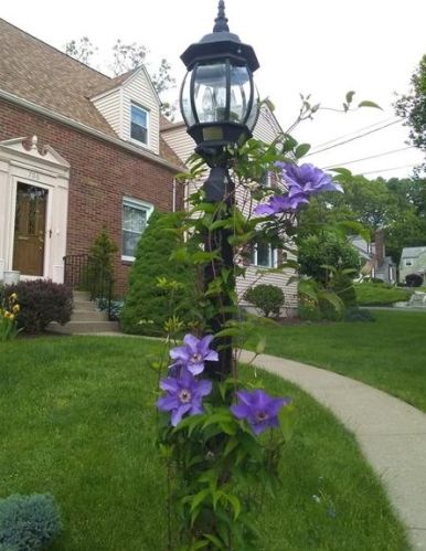 706 Summit St, Moon Twp, PA 15108-1740