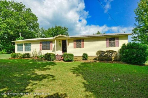 58 County Road 3909, Arley, AL 35541