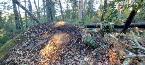 43400 Iversen Rd, The Sea Ranch CA  95445-7582 exterior