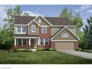 3389 Stillwood Blvd, Cuyahoga Falls OH  44224-4686 exterior