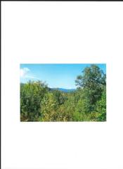 5 Glassy View Ln, Landrum SC  29356-8601 exterior