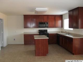 200 Sagebrook Dr, Madison AL  35757-7693 exterior