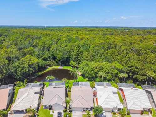 3664 Darston St, Palm Harbor FL  34685-1182 exterior