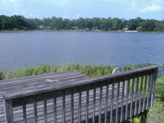 146 Lake Winnott Rd, Cross Creek, FL 32640-4128