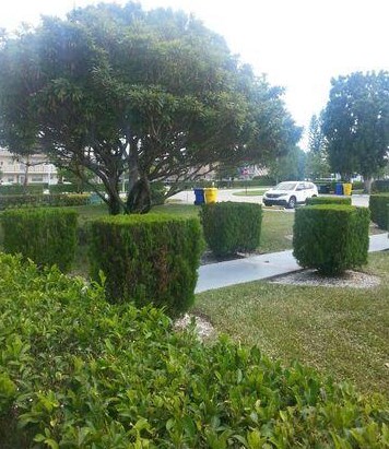 429 Chatham U, West Palm Beach, FL 33417-1867