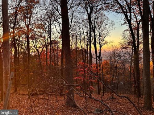 185 Baptist Ln, Linden VA  22642-5660 exterior