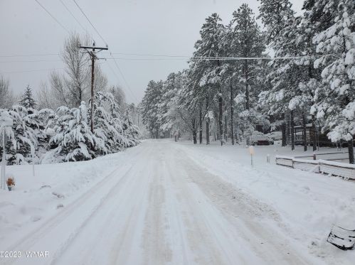 123 Sky Hi Dr, Pinetop AZ  85935-8802 exterior