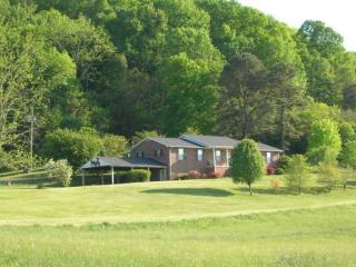 200 Christiana Dr, Rogersville, TN 37857-8110
