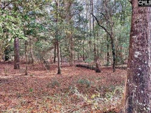1392 Valley Ridge Rd, Gaston, SC 29053-8340
