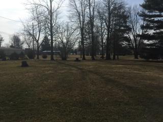 359 Patterson St, Dunkirk, OH 45836-1019