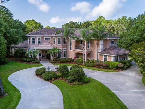 5318 Enclave Dr, Oldsmar FL  34677-1961 exterior