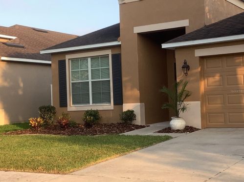 7019 Blue Beech Dr, Riverview, FL 33578-8623