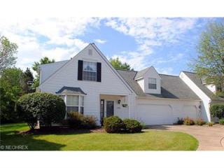 10261 Orchard Hill Ln, Twinsburg, OH 44087-2635