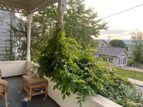 205 South St, Slatington PA  18080-1838 exterior