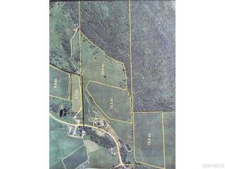 6084 Feathers Creek Rd, Belmont, NY 14813-9758