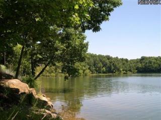 3732 Hunting Run Rd, Medina, OH 44256-8208