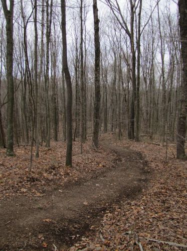 24480 Bushby Rd, Laurelville OH  43152-9712 exterior