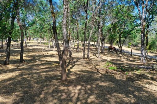 23239 Soili Rd, Grass Valley CA  95949-7620 exterior