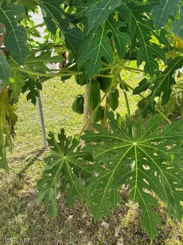 605 3rd St, Lehigh Acres FL  33936-1409 exterior