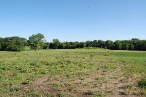 313 Ridgewood Dr, Midvale, IA 50124-4705