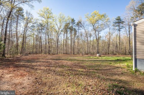 15166 Sassafras Ln, Madison Mills VA  22960-3825 exterior