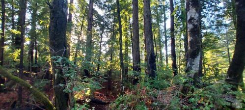 43400 Iversen Rd, The Sea Ranch CA  95445-7582 exterior