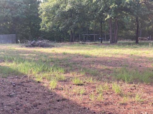 131 Private Road 8414, Palestine, TX 75803-2519