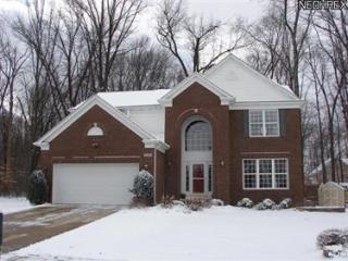9100 Beechmont Ct, Twinsburg, OH 44087-1986