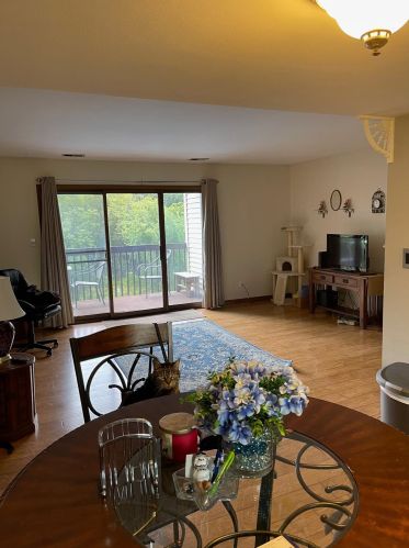 849 Summit Park Ct, Crown Point IN  46307 exterior