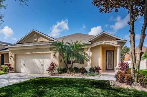 11246 Running Pine Dr, Riverview, FL 33569-2216