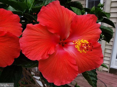 1139 Wilson Ave, Glen Mills PA  19342-9610 exterior