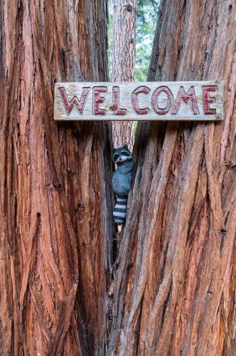 15737 Frenchtown Rd, Brownsville CA  95919-9717 exterior