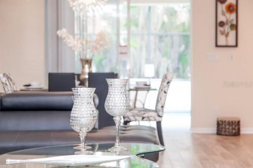 919 Emerald Green Ct, Kissimmee FL 34746-6142 exterior