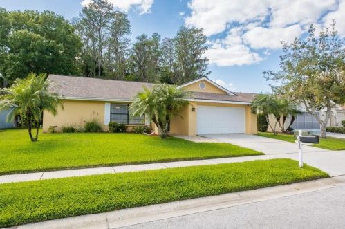 3833 Watson Dr, New Port Richey, FL 34655-2032