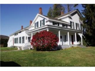 627 Brown Rd, East Berkshire, NY 13736-2338
