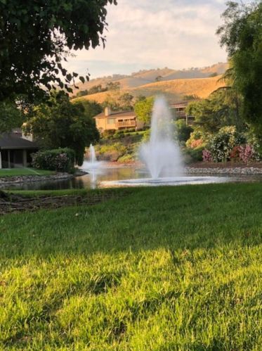 5149 Cribari Pl, San Jose CA 95135-1301 exterior