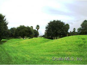 9304 128th St, Summerfield, FL 34491-9710
