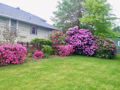 24 2nd Ave, Latrobe, PA 15650-1103