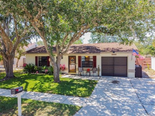 8305 Autumn Oak Ave, Port Richey, FL 34668-3355