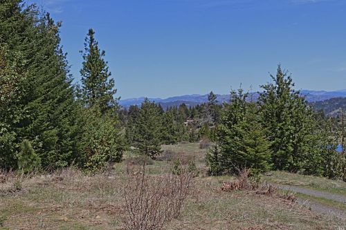 28901 Skyview Rd, Willits CA  95490-8420 exterior