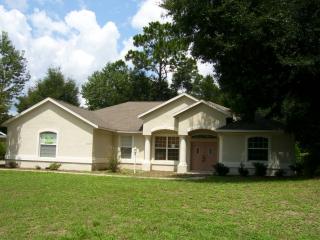 8137 196th Court Rd, Dunnellon, FL 34432-3594