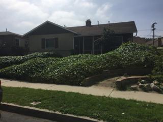 2042 99th St, Los Angeles, CA 90047-4003