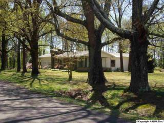198 Jolley Dr, Horton, AL 35980-8318