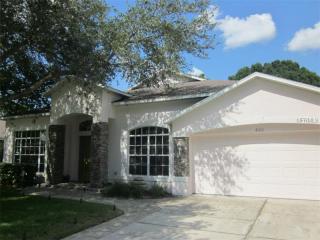 4010 Water Park Ct, Riverview, FL 33578-3038