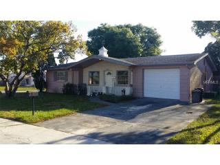 1102 Brass Ln, Tarpon Springs, FL 34691-5047