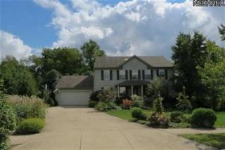 8680 White Tail Ln, Streetsboro, OH 44241-5893