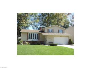 427 Riverdale Dr, Willoughby, OH 44095-1234