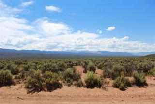 4300 Kyle Dr, Wellington, NV 89444-9337